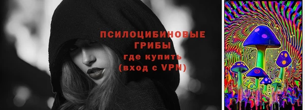 ПСИЛОЦИБИНОВЫЕ ГРИБЫ Верея