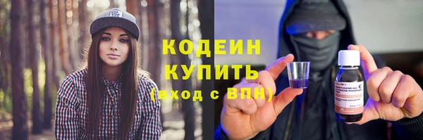 гидра Верхний Тагил