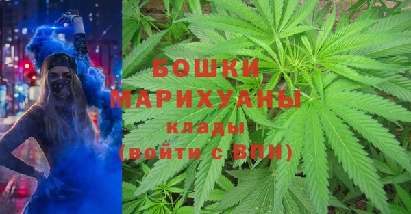 ГАЛЛЮЦИНОГЕННЫЕ ГРИБЫ Бородино
