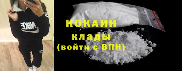 индика Волоколамск