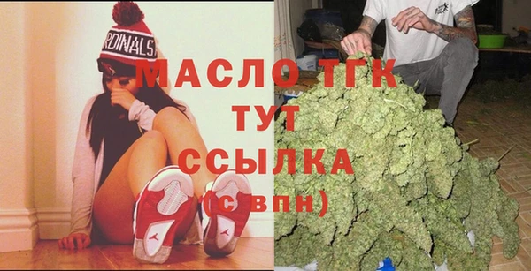 индика Волоколамск