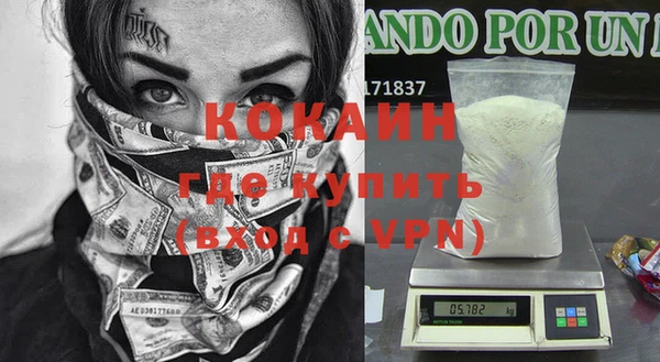 индика Волоколамск