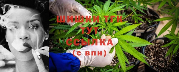 ПСИЛОЦИБИНОВЫЕ ГРИБЫ Верея