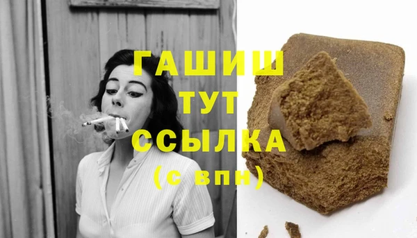 гидра Верхний Тагил