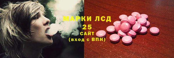 индика Волоколамск