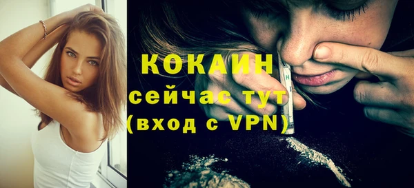 гидра Верхний Тагил