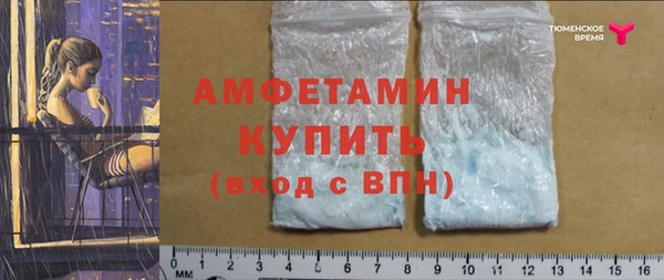 ПСИЛОЦИБИНОВЫЕ ГРИБЫ Верея